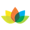 www.dominoplan.ir