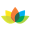 www.dominoplan.ir